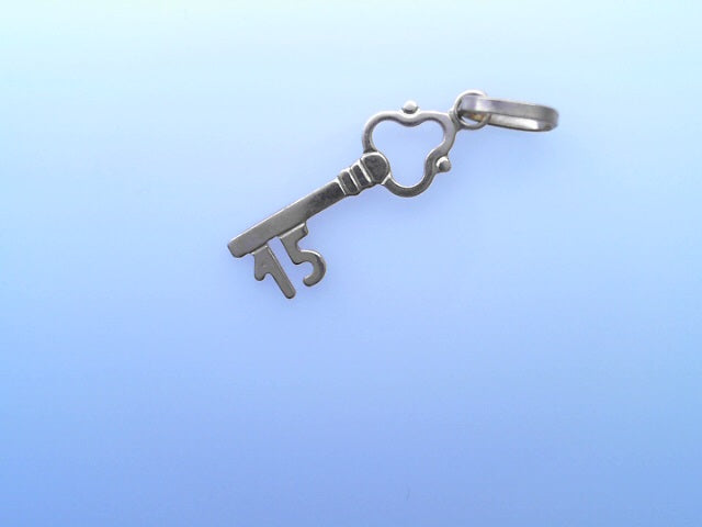 14KP 0.7G PENDANT KEY 15