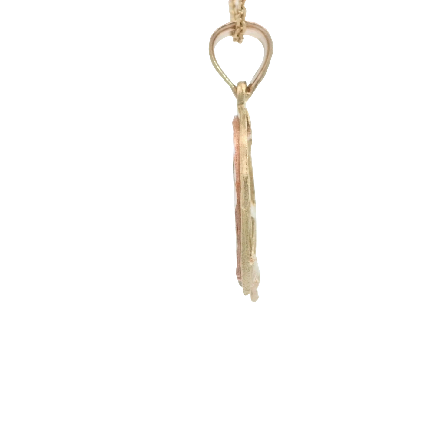 14K  PENDENT  2.5G HORSESHOE HORS CENTER DC 2TONE