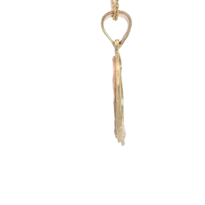 14K  PENDENT  2.5G HORSESHOE HORS CENTER DC 2TONE